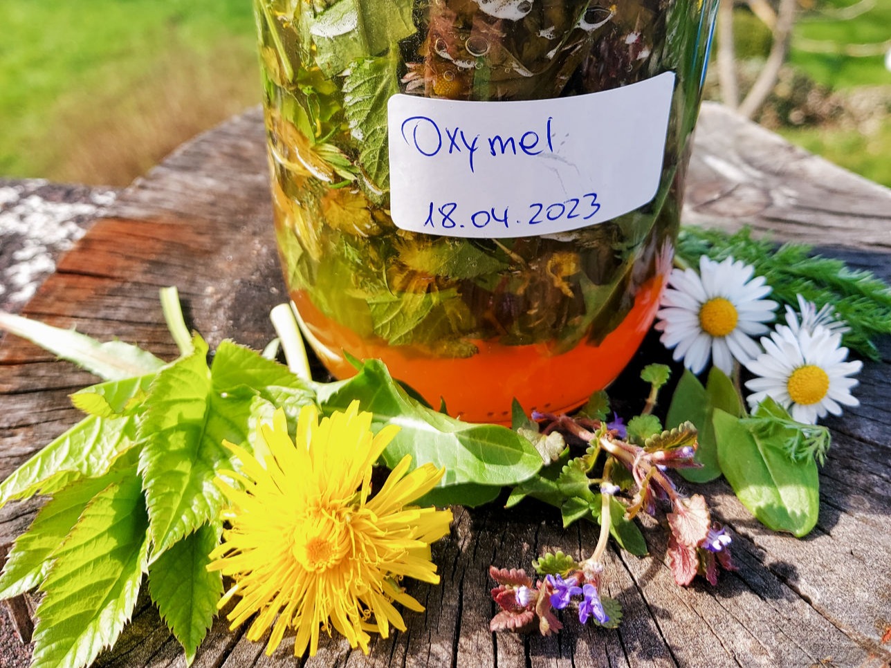 Hunsr cker Krautgefl ster